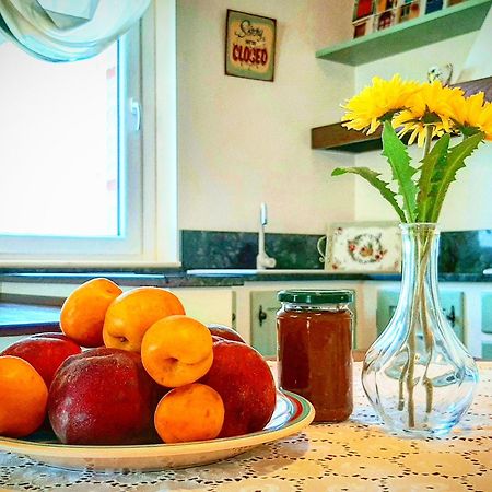 Bio Agriturismo Mare In Campagna Campofilone Екстериор снимка