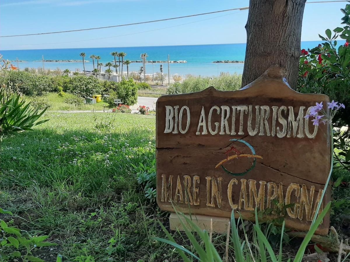 Bio Agriturismo Mare In Campagna Campofilone Екстериор снимка