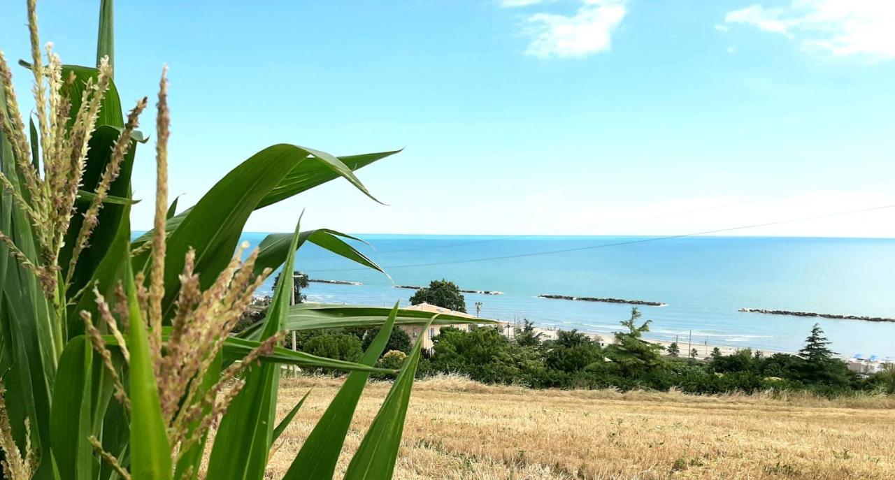 Bio Agriturismo Mare In Campagna Campofilone Екстериор снимка